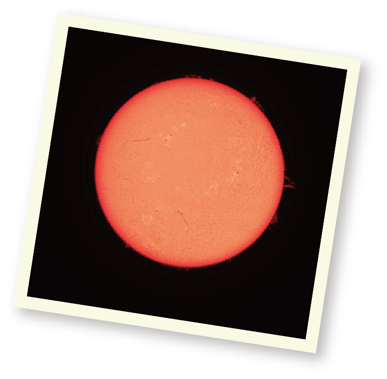 太陽観望会 in 円形広場