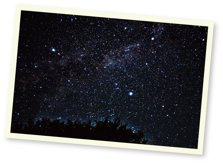 夏の星座を見よう