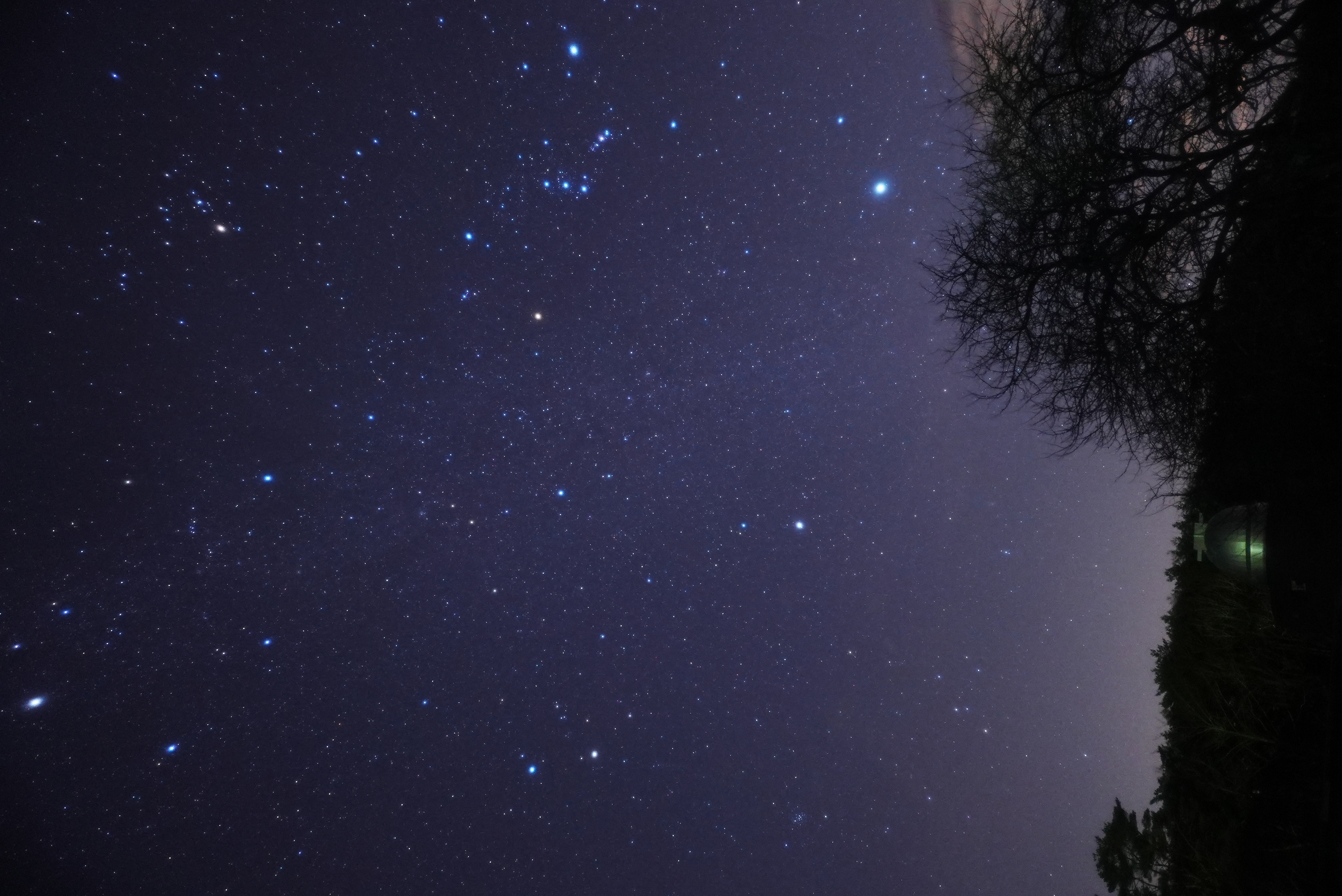 冬の星座を見よう
