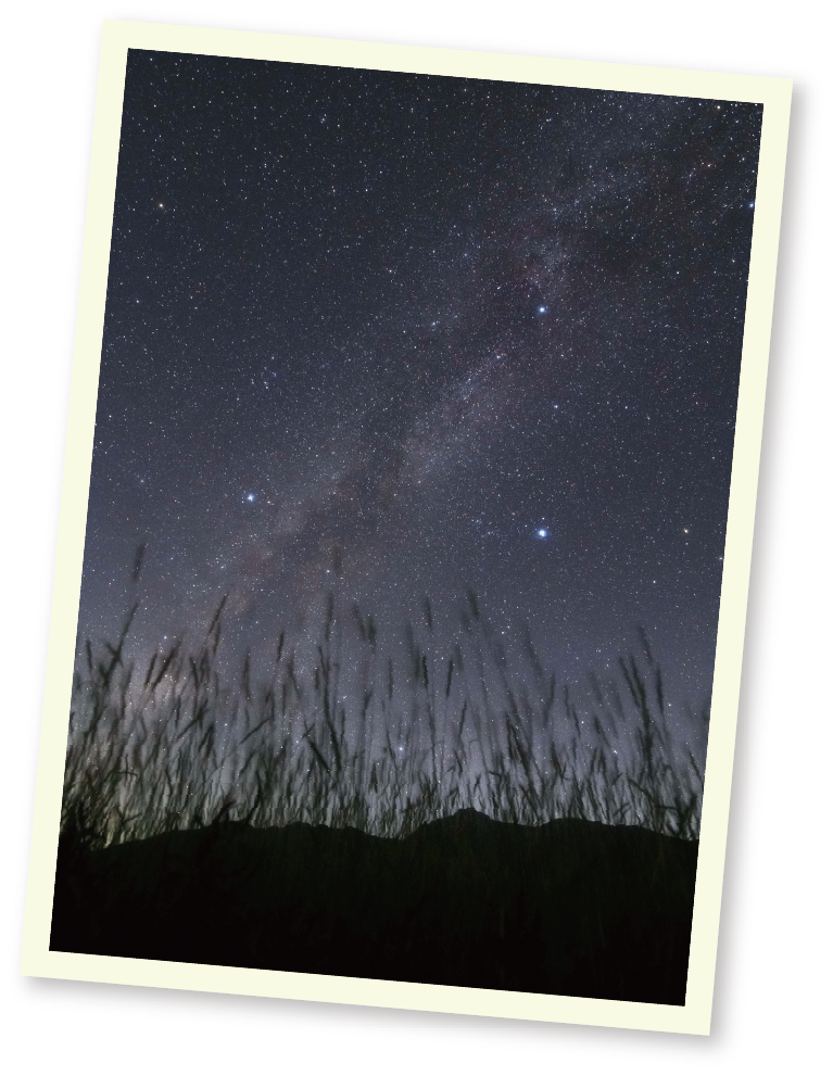 大人のためのプラネタリウム「七夕」